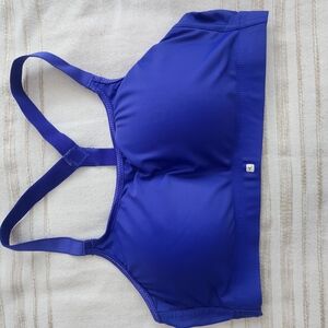 Vibrant Blue Sports Bra